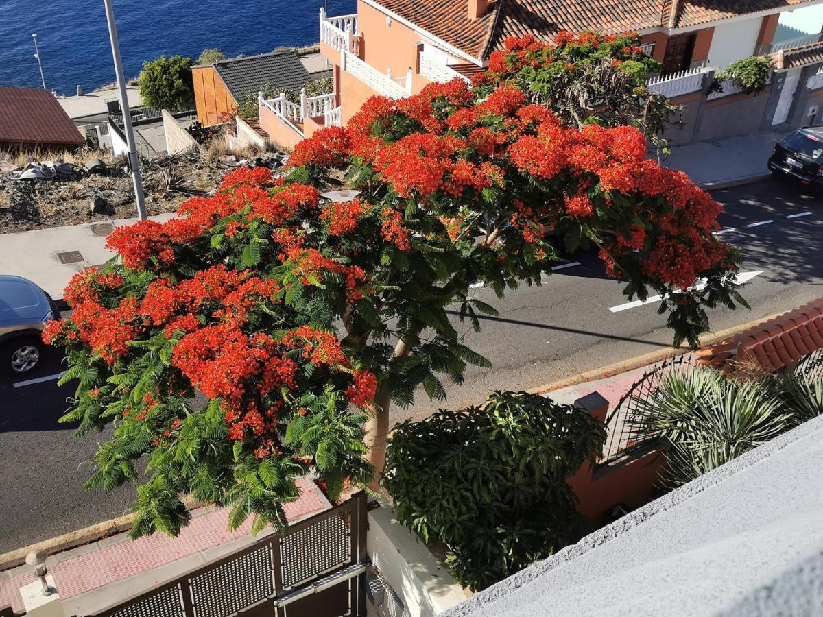 Willa Balcon De Costanera Santa Cruz de Tenerife Zewnętrze zdjęcie